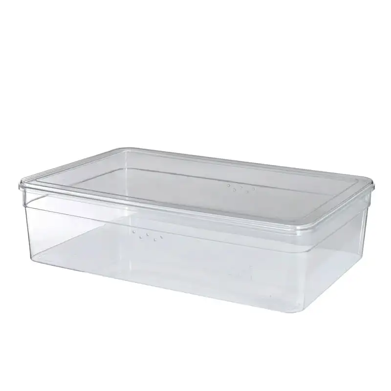 

Boot Box With Lid, Clear Plastic
