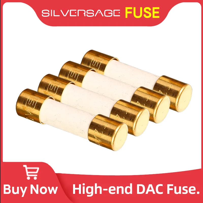

SILVERSAGE HIFI DAC Предохранитель 5x20 мм для GUSTARD R26 TOPPING SMSL AUNE