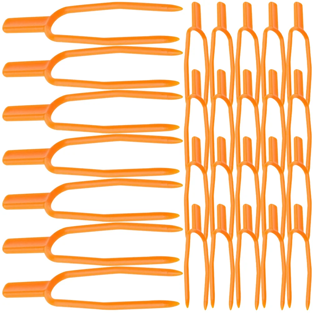 

Grape Wall Fixture Clips Plants Press Clamps Vines Fixing Fasteners Gardening Fork Pant Strawberry