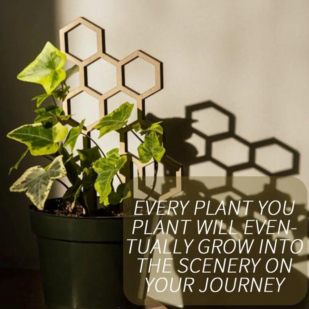 

Unique Plant Stake Anti-cracking Eco-friendly Practical Non-sliding Plant Support Rack for Bonsai Plant Support Rack