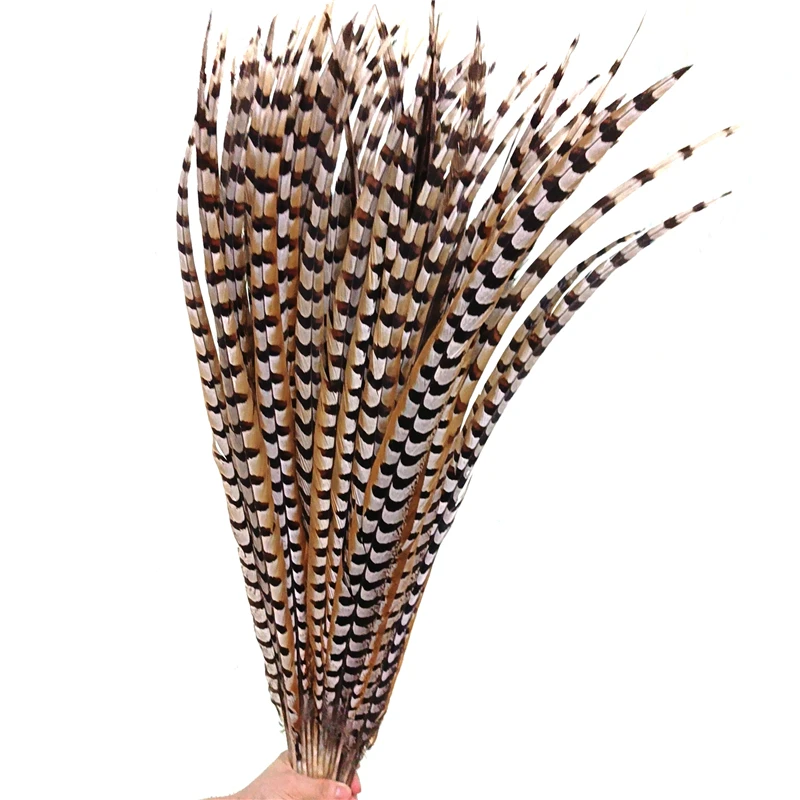 

Natural Lady Amherst Pheasant Feathers for Craft Long Top with Bird Reeves Venery Feather Carnival Plumes Decoration Performance