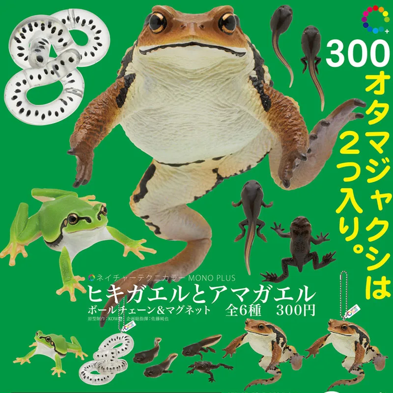 

Japan IKIMON Gashapon Capsule Toys KITAN CLUBE Tadpole Model Table Ornaments Decoration Toad Tree Frog Pendant