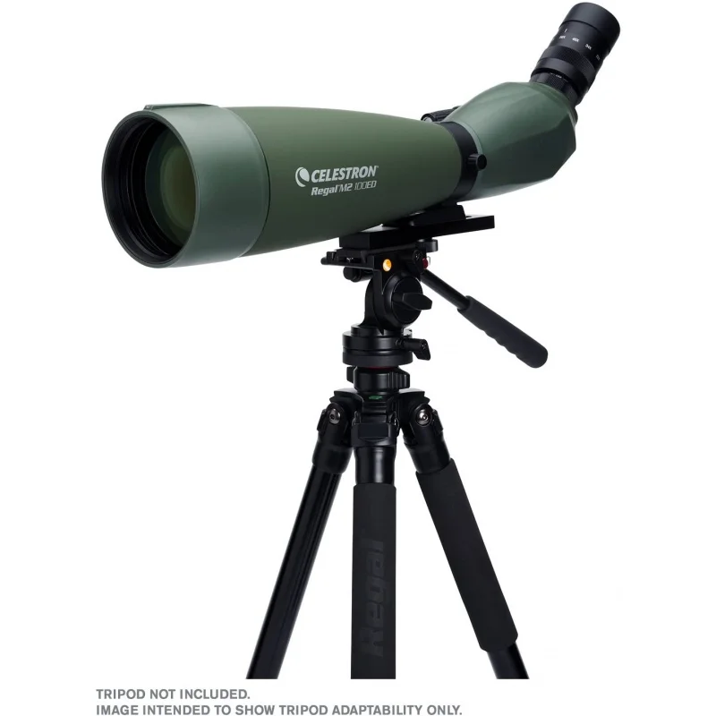 

Объектив Celestron Regal M2 65ED 80ED 100ED, оптика с полностью многослойным покрытием, для наблюдения за птицами и охоты, зум-объектив 2267x