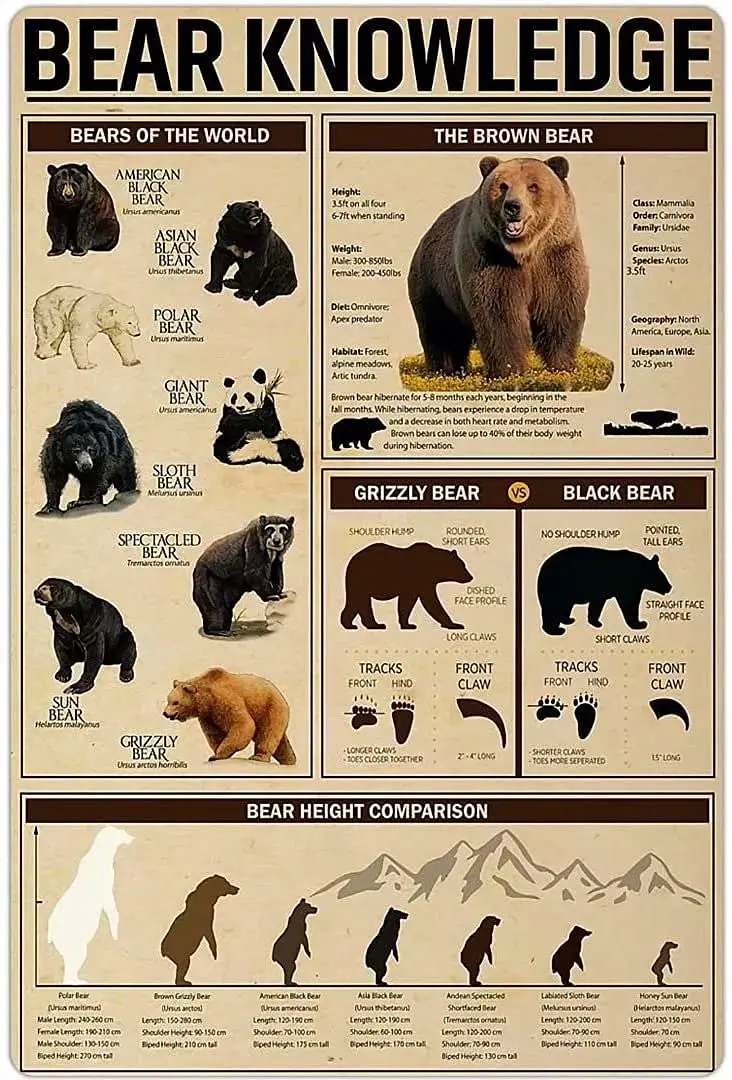 

Bear Knowledge Metal Tin Signs Bears Of The World Printing Poster Bar Restaurant Cafe Living Room Kitchen Home Wall Decoration