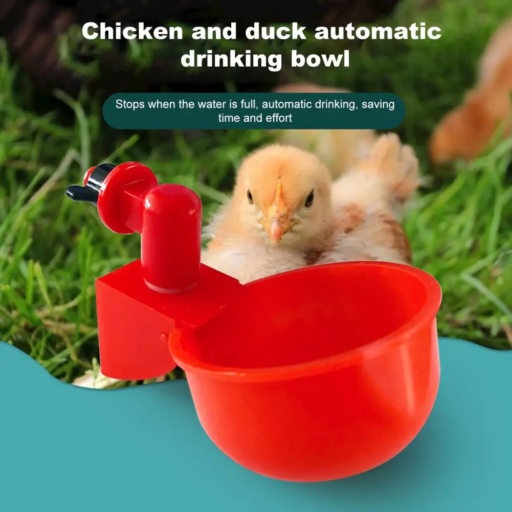 

Chick Water Bowl Auto-off Function Corrosion Resistant Anti-aging Plastic Pigeon Chick Drinking Feeder for Bird