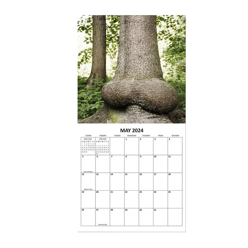 

Настенный календарь 2024, календарь на стену 12 месяцев, январь 2024 г., календарь на стену, календари, Забавный календарь с натуральными снимками дун, 12 ежемесячных календарей