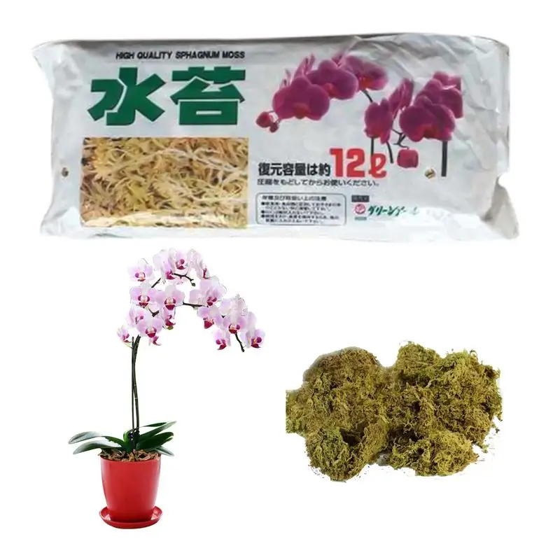 

Sphagnum Moss Moisturizing Nutrition Organic Fertilizer Orchid Fertilizer Plant Moss Dried Roots For Orchid Gardening Plants