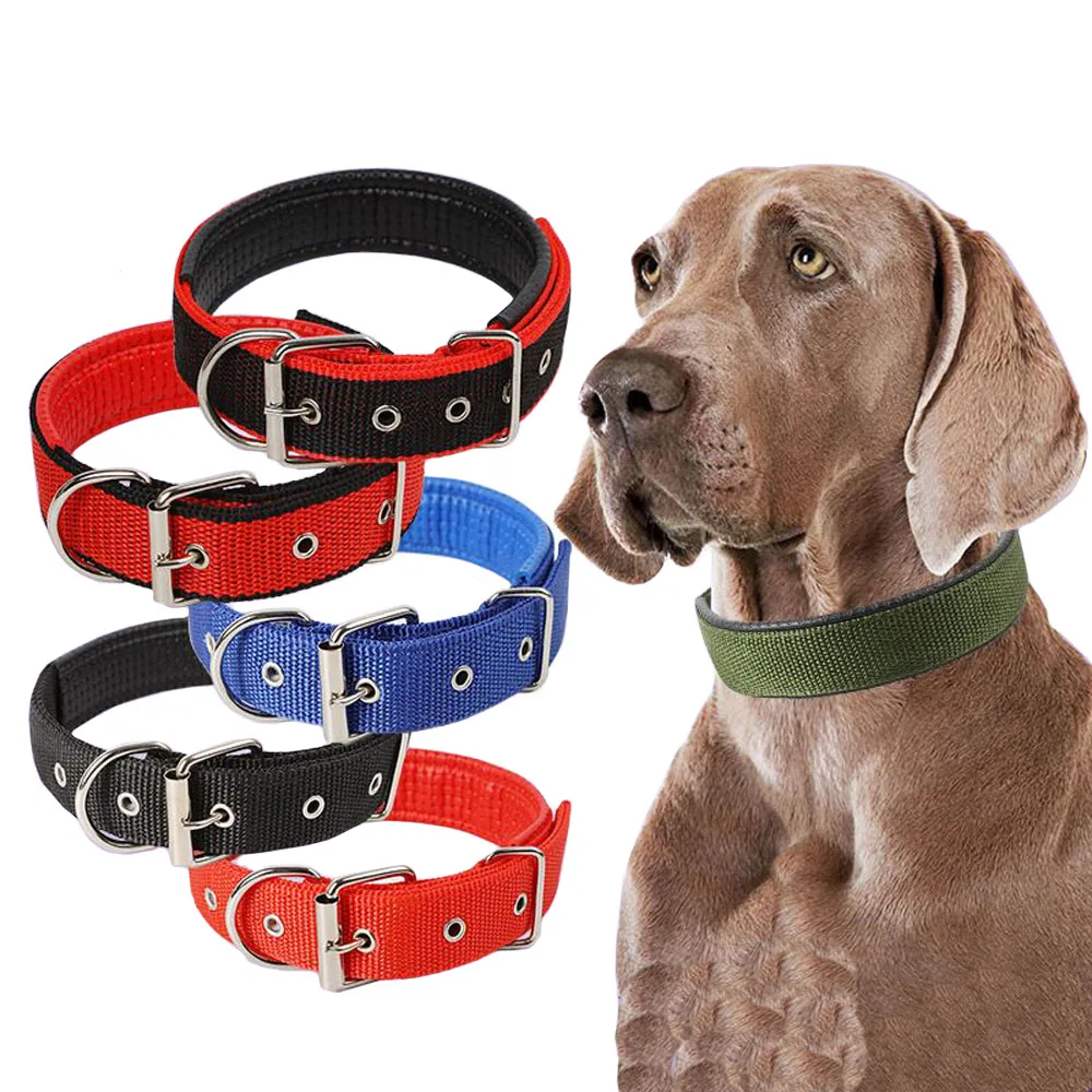 Ошейник для щенка. Ошейник pit bull 010u с поводком. Нейлоновый ошейник для щенка. Ошейники billy billows. Ошейник для собак.