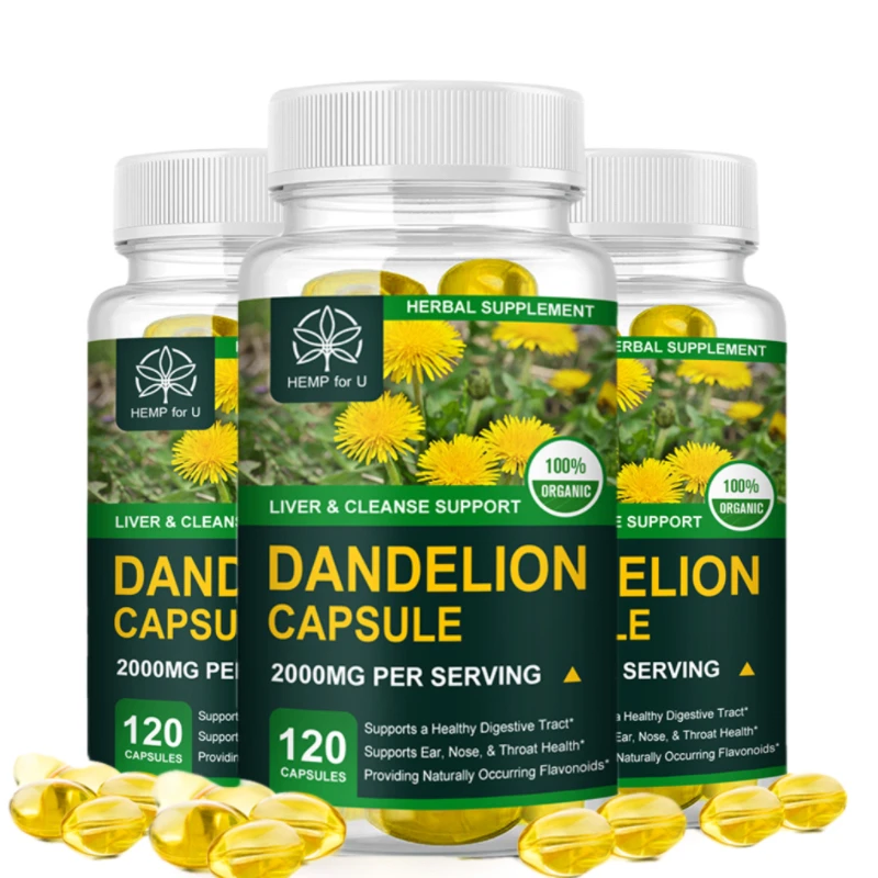 

Free Shipping Dandelion Capsule Non GMO Vegetarian Organic Food Healthy Liver, Kidney, Digestion Support Boosts Immune Health