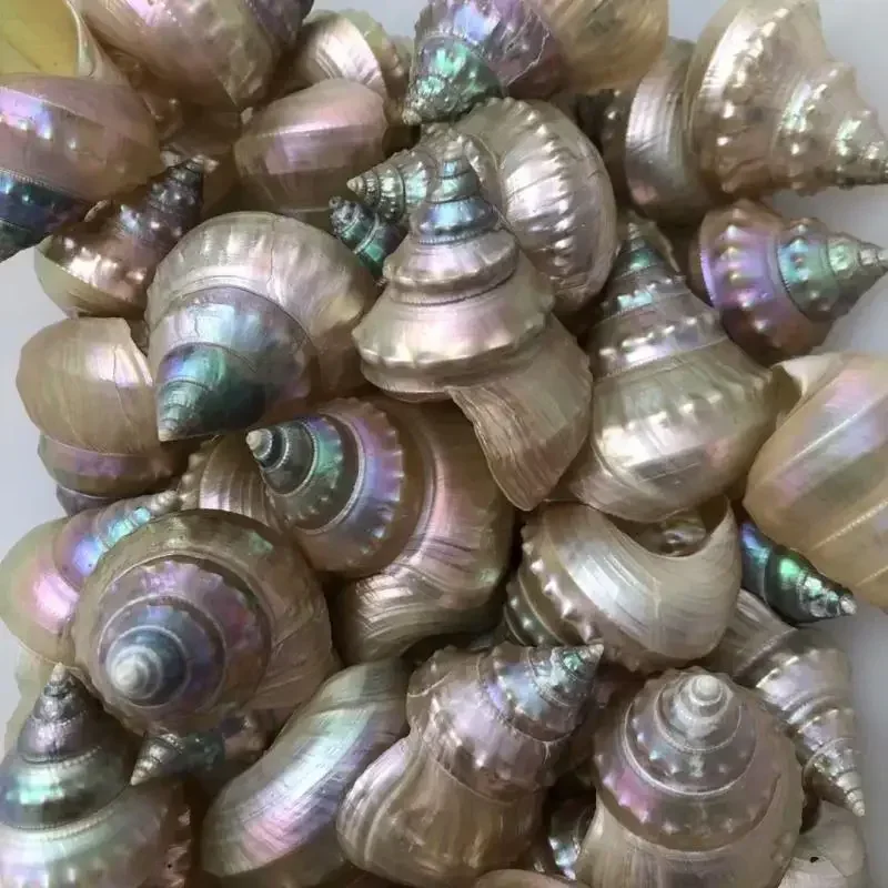 Натуральная раковина белый красочный жемчужный аквариум ландшафтный дизайн