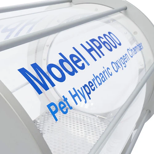 Рисунок 4 - Животные, дневная Гипербарическая камера