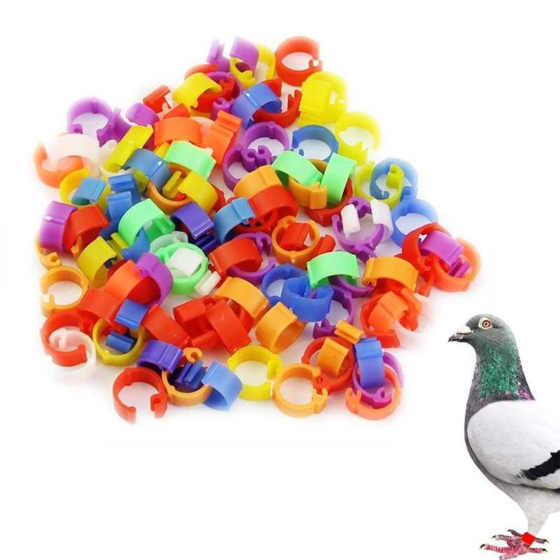 

100Pcs Pigeons Rings 10 Colors Birds Feet Rings 8mm Plastic Clip Ring Pigeon Dove Quail Foot Opening Ring Bird Accessories