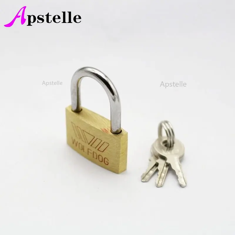 

Small Mini Strong Steel Padlock Travel Suitcase Diary Lock Luggage Anti-Theft Security Padlocks 2 Keys