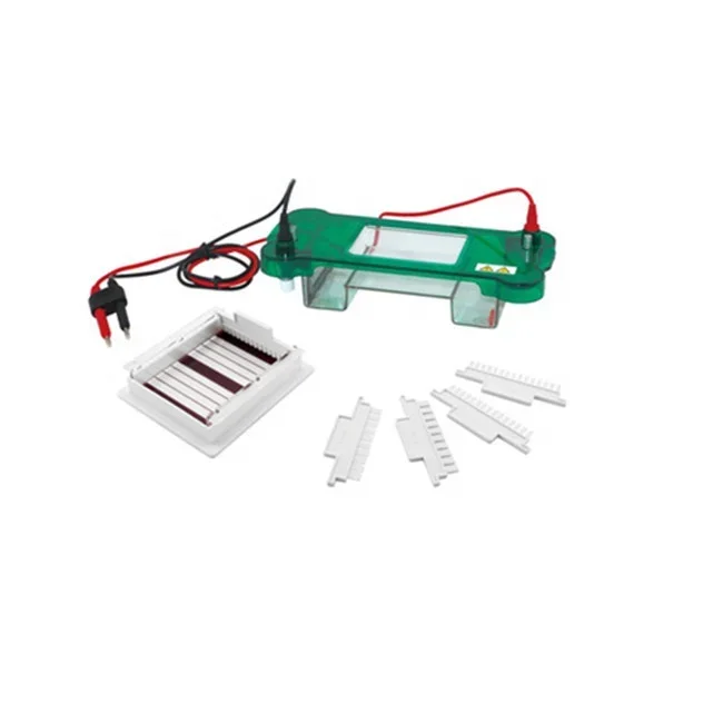 

JY-SPBT Horizontal Electrophoresis