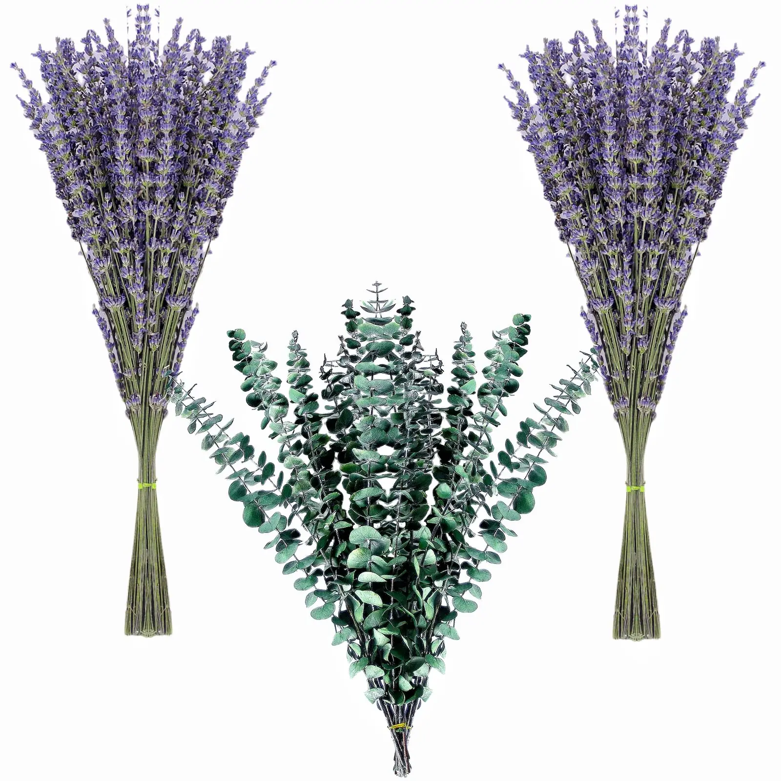 

130 Stems Dried Lavender Flowers and Shower Eucalyptus Hanging Bouquet Use of Home Decor Greenery Bathroom, Living Room Kitchen