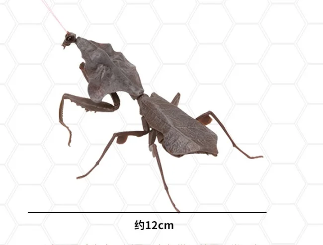 Фигурки насекомых Bandai Deroplatys Brancsikia Series02