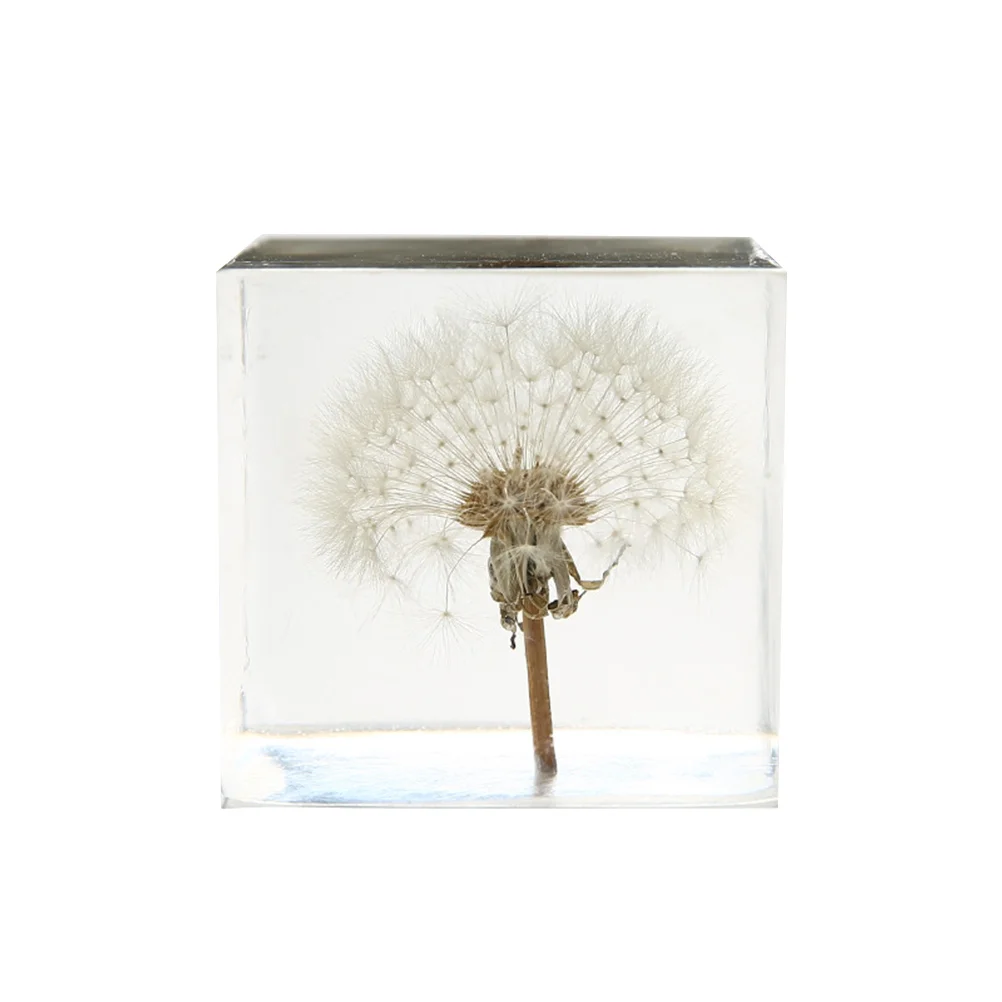 

Crystaldandelion Cube Paperweight Dandelions Decoration Ornament Figurinestabletop Flower Officedesktop Figurine Home