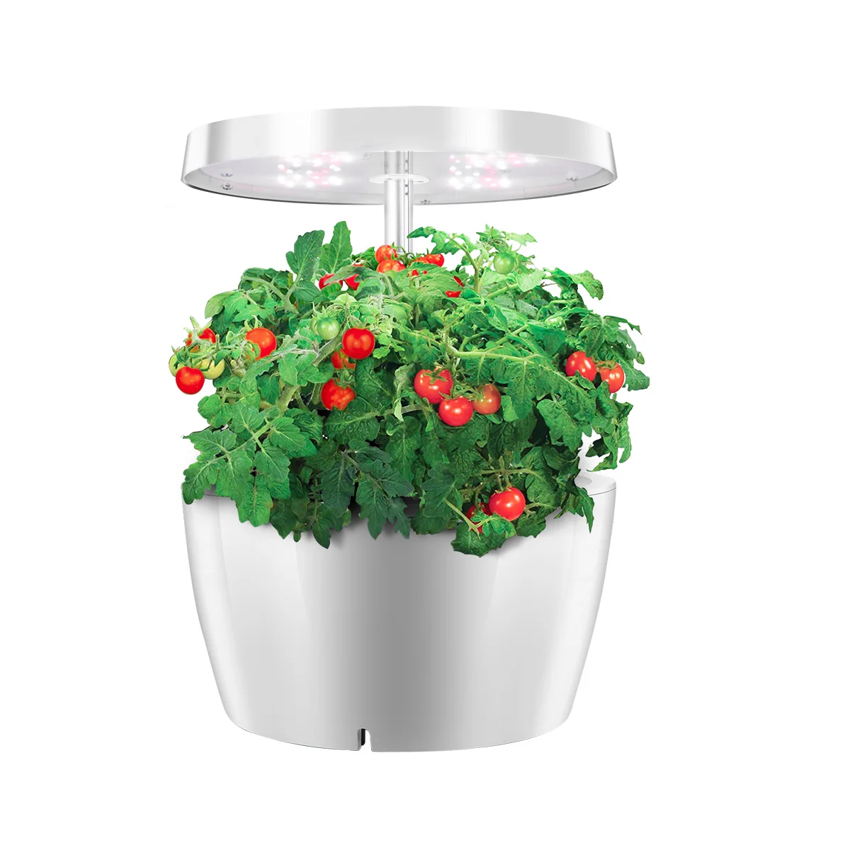 

Indoor Plant Hydroponics Grow light Soilless Cultivation Plant Grow Light Lamp For Plant Indoor Nursery Flower Fruit Veg