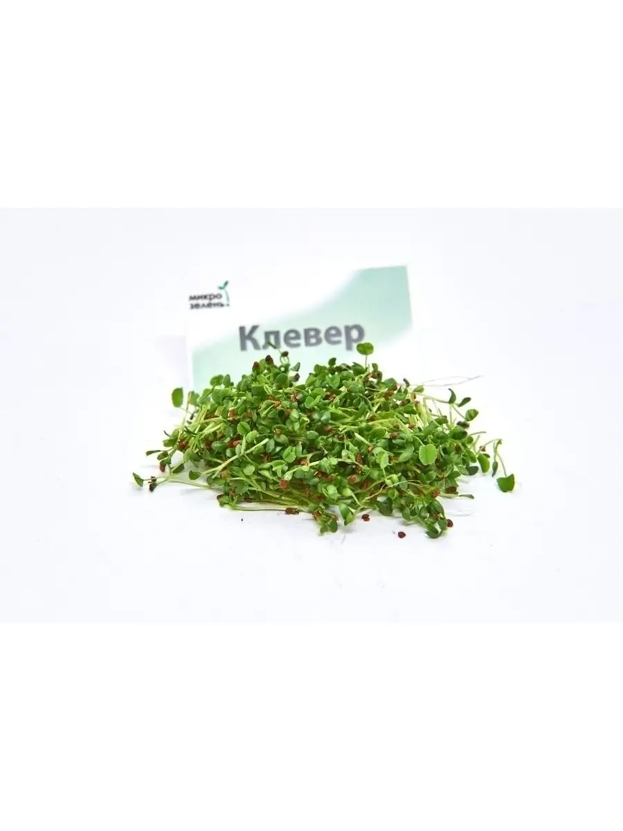 Набор для выращивания микрозелени 10 урожаев &quotMikroGreens" (горох клевер редис