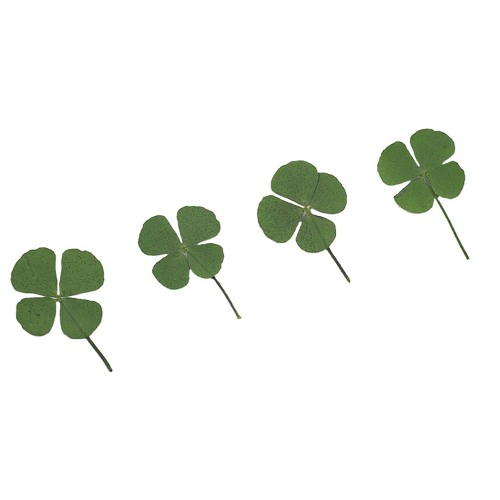 12 шт. милые четырехлистные сушеные ювелирные аксессуары декоративные материалы