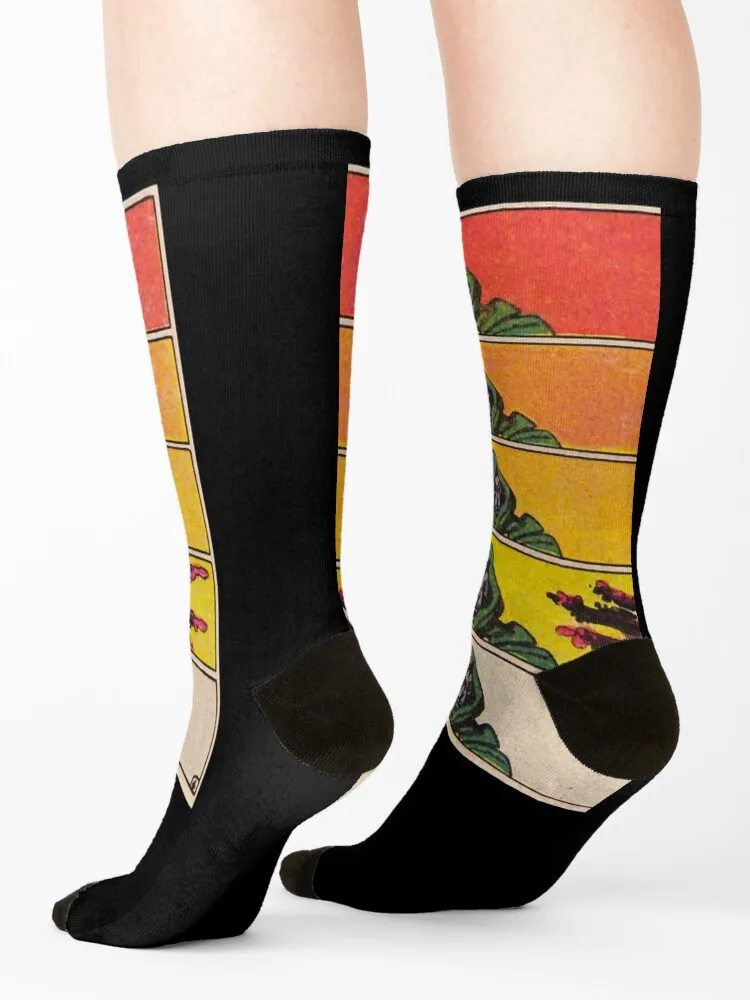 MF DOOM Художественные носки