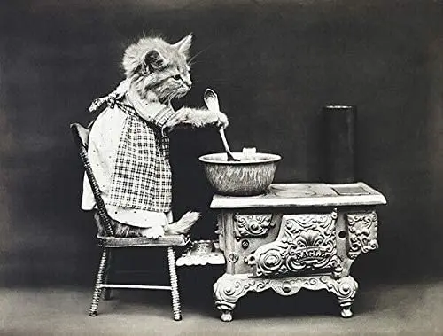 

The Cook - Cat Animal Photo Poster Tin Sign