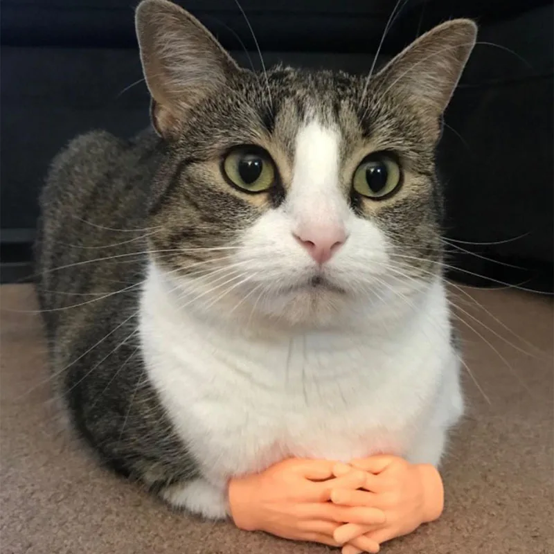 

1pair Cat Funny Massage Little Finger Gloves Fake Human Hand For cat Kitty cat