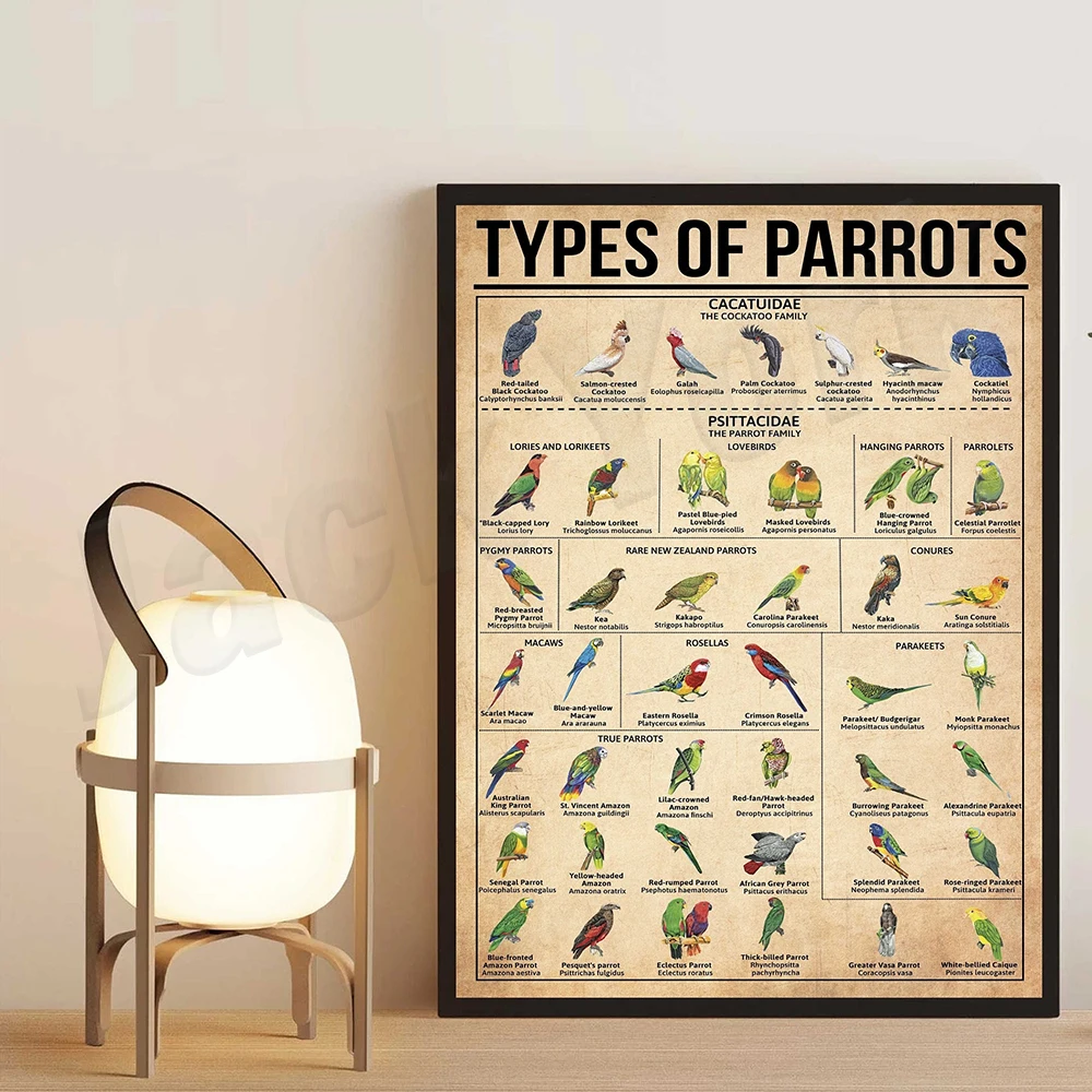 

Художественный постер parrots ReachMani