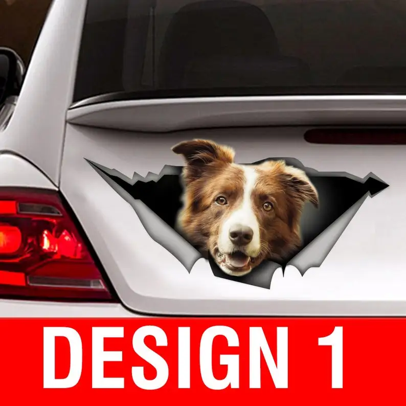 

STICKER/ Brown and White Border collie car sticker , dog car decal, car decoration, pet decal