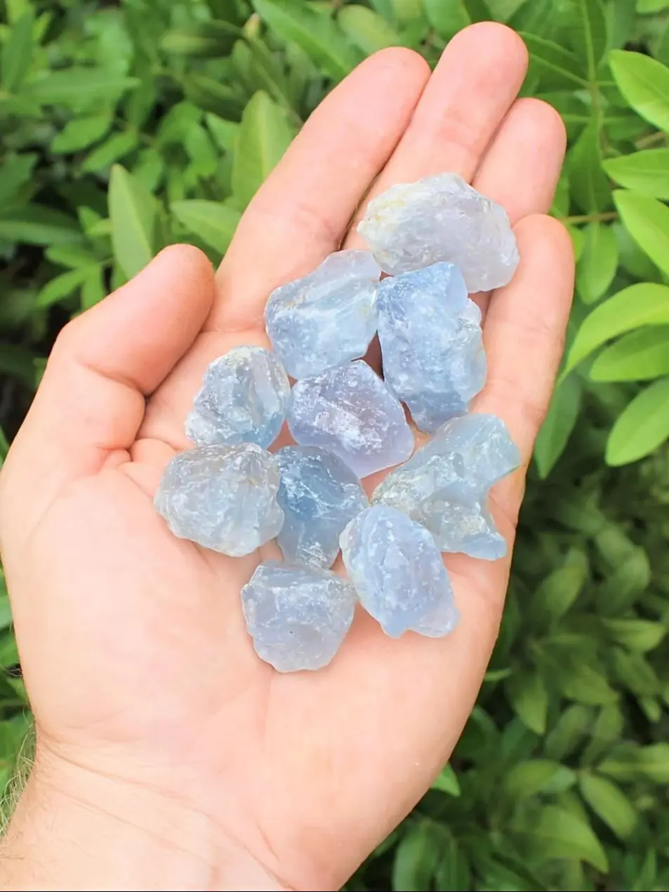 

Необработанные камни Celestite, необработанные необработан