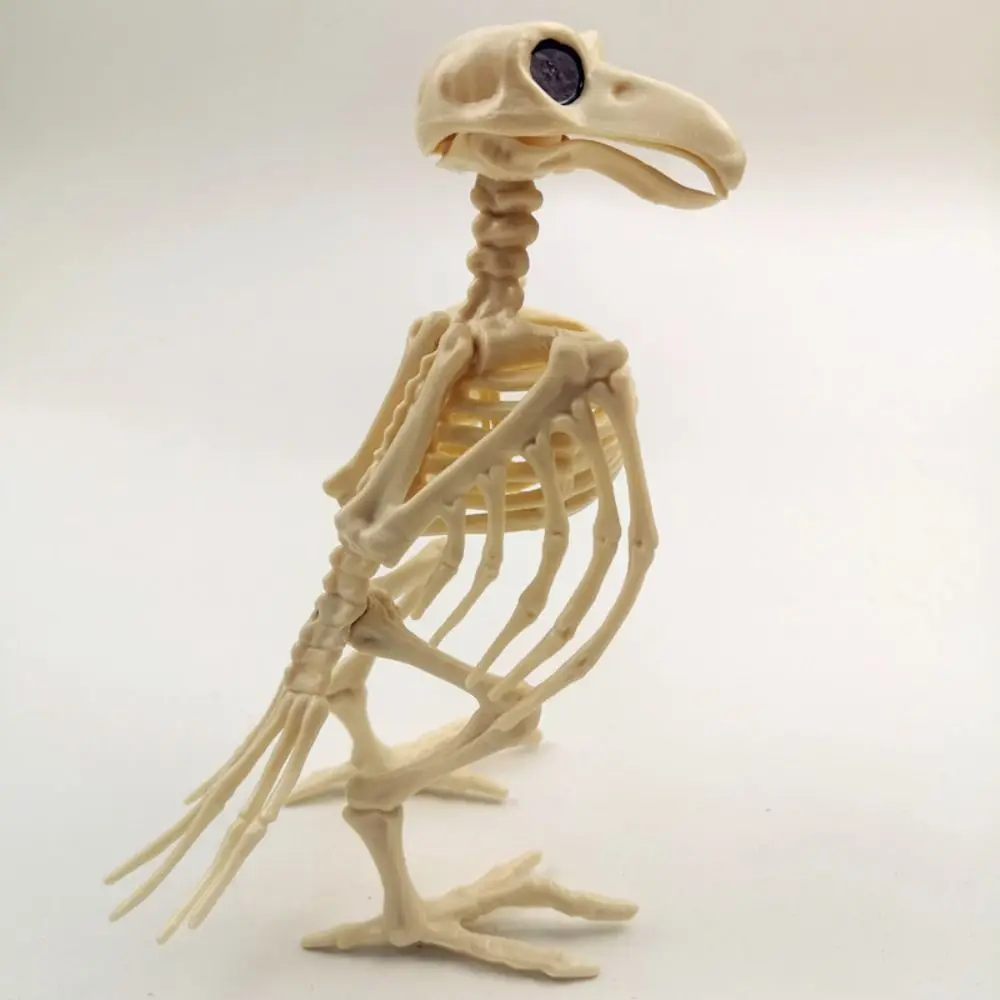 

New Halloween Prop Horror Plastic Halloween Decoration Skeleton Raven Crow Skeleton Animal Skeleton Bones