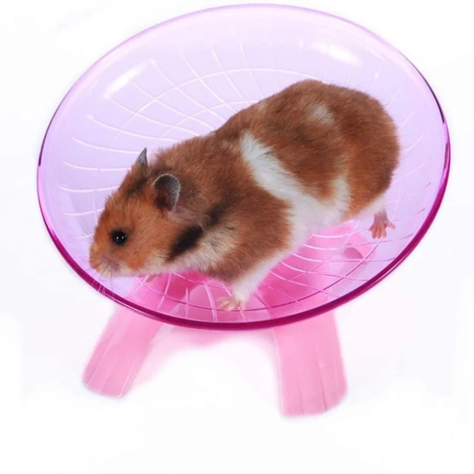 

Hamster Ball Hamster Wheel Hamster Exercise Ball Dwarf Hamster Wheel Hamster Large Hamster Ball