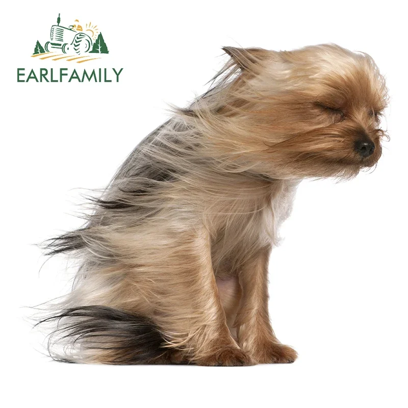 

EARLFAMILY 13 см x 12 см Автомобильная наклейка s для йоркширского терьера, собака, выдувающая на ветру забавная наклейка RV VAN JDM декоративные наклейки