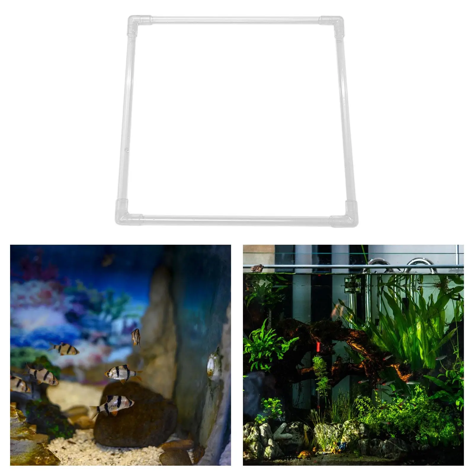 Кольцо Для Кормления Рыбы искусственное растение корральный прозрачный