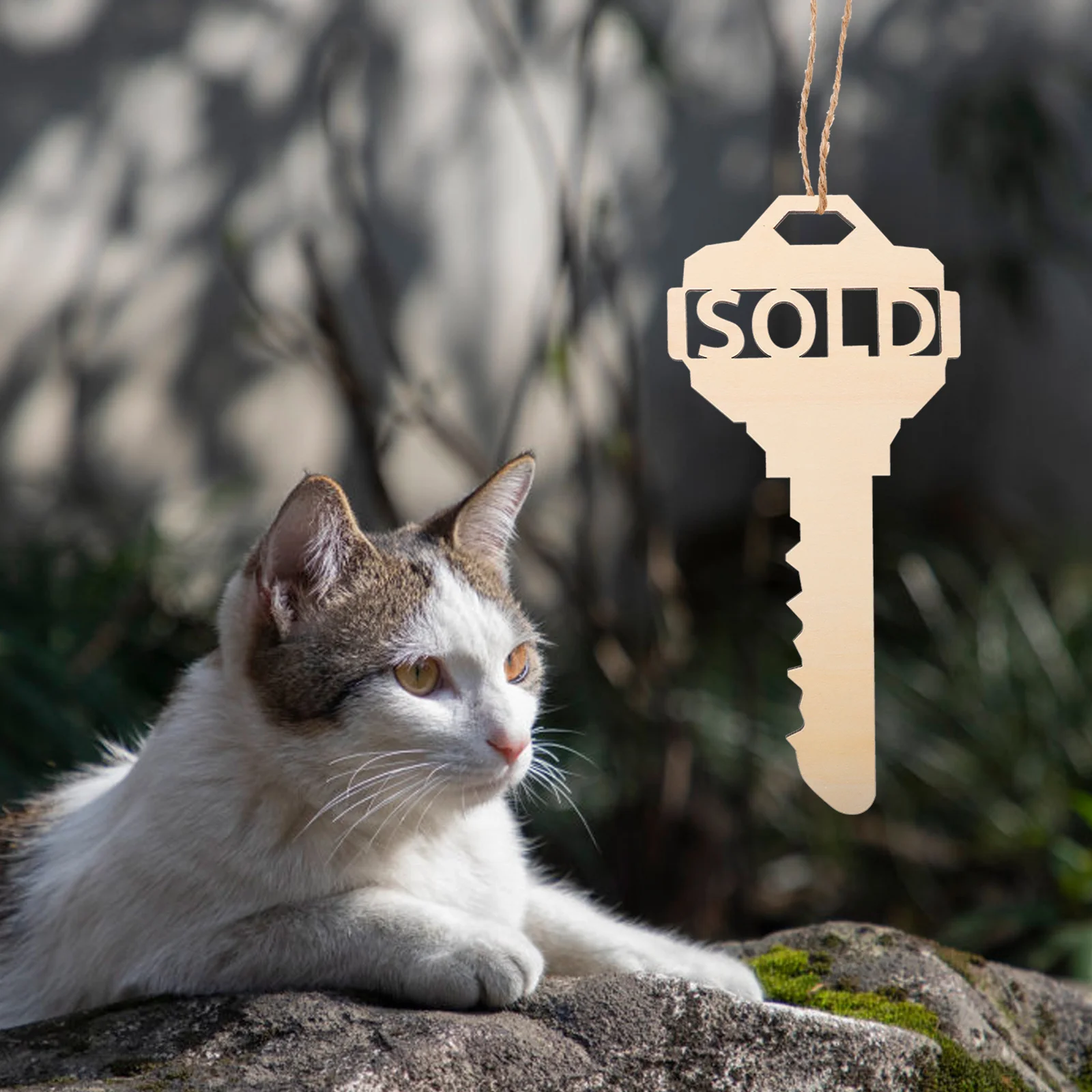 Реквизит для фотографий подвеска рекламного щита подвесной декор двухсторонний