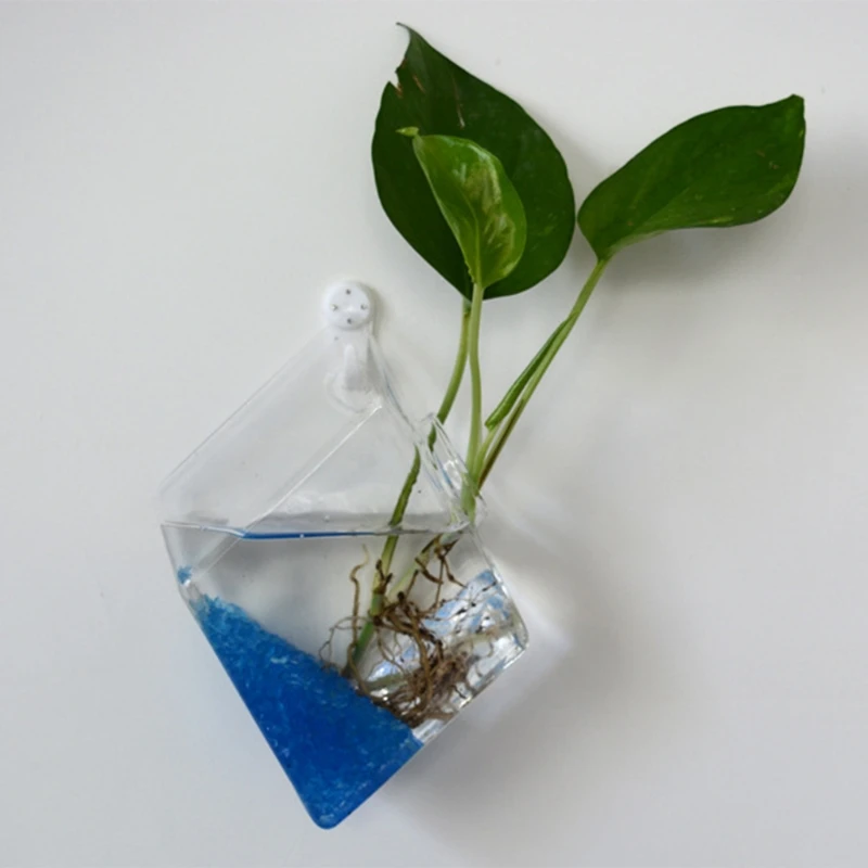 Креативный настенный стеклянный плантатор для гидропонных растений контейнер
