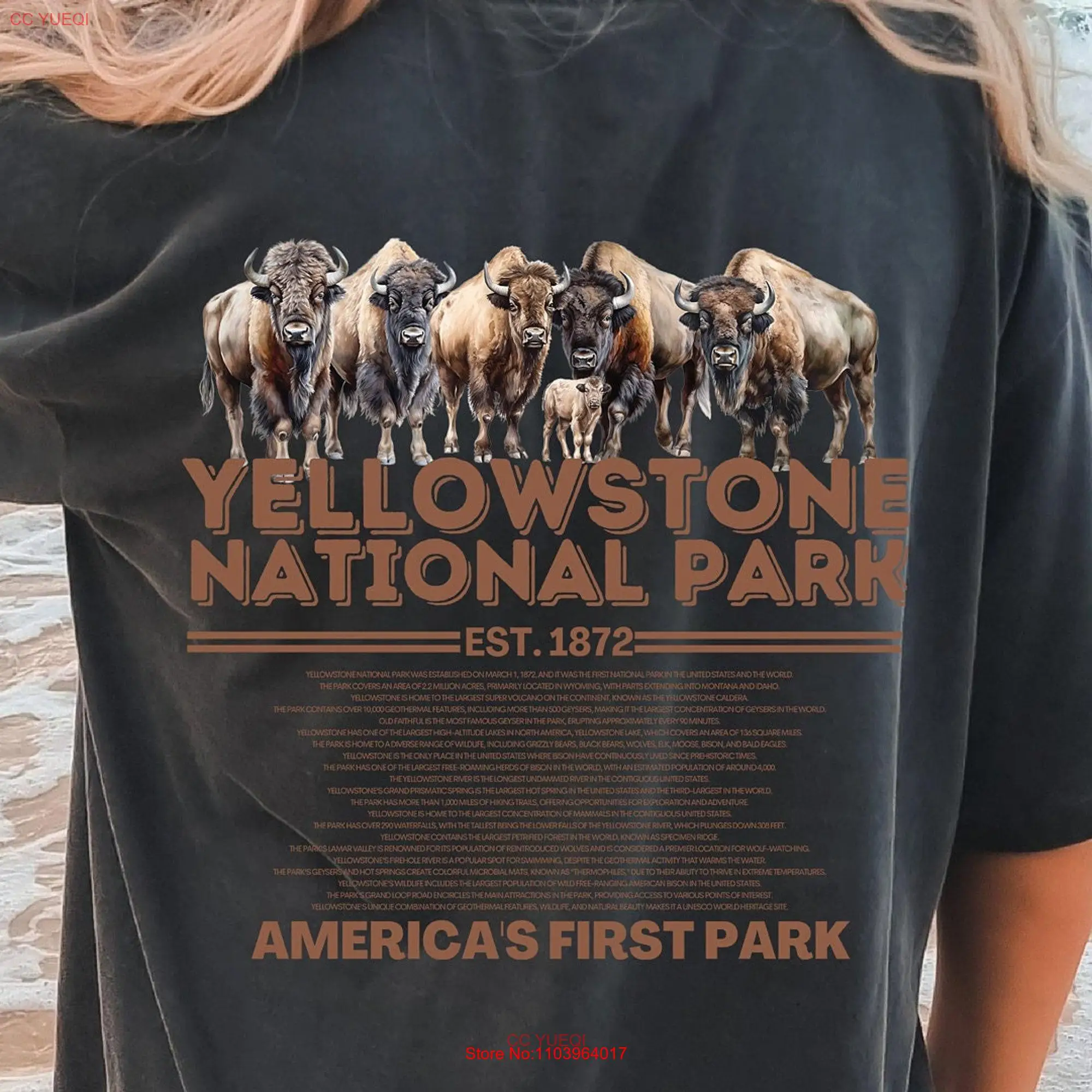 Футболка с длинным или коротким рукавом в стиле национального парка Йеллоустоун