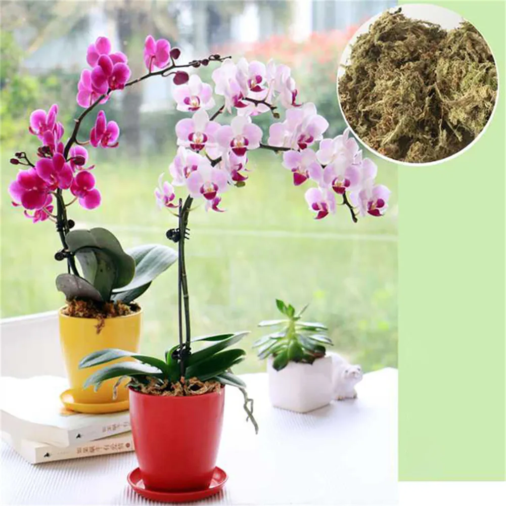 12L Sphagnum Moss Garden Supplies Moisturizing Nutrition Organic Fertilizer For Phalaenopsis Orchid |