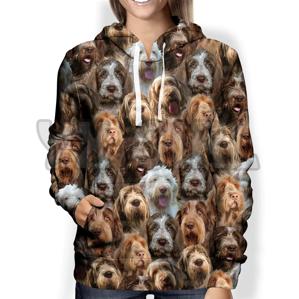 

You WillHave A BunchOf Italian Spinones3D Printed Hoodies Men ForWomen Unisex Pullovers Funny Dog Hoodie Casual Street Tracksuit