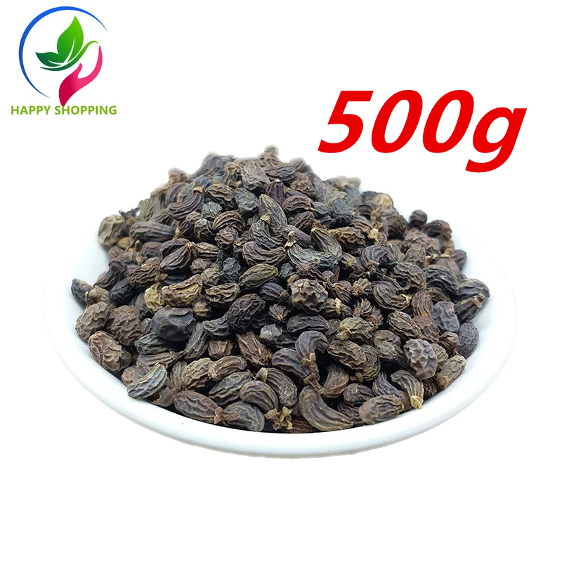 Фрукты глянцевого лигустрия люцида бесплатная доставка Холли люцид zhenzi |