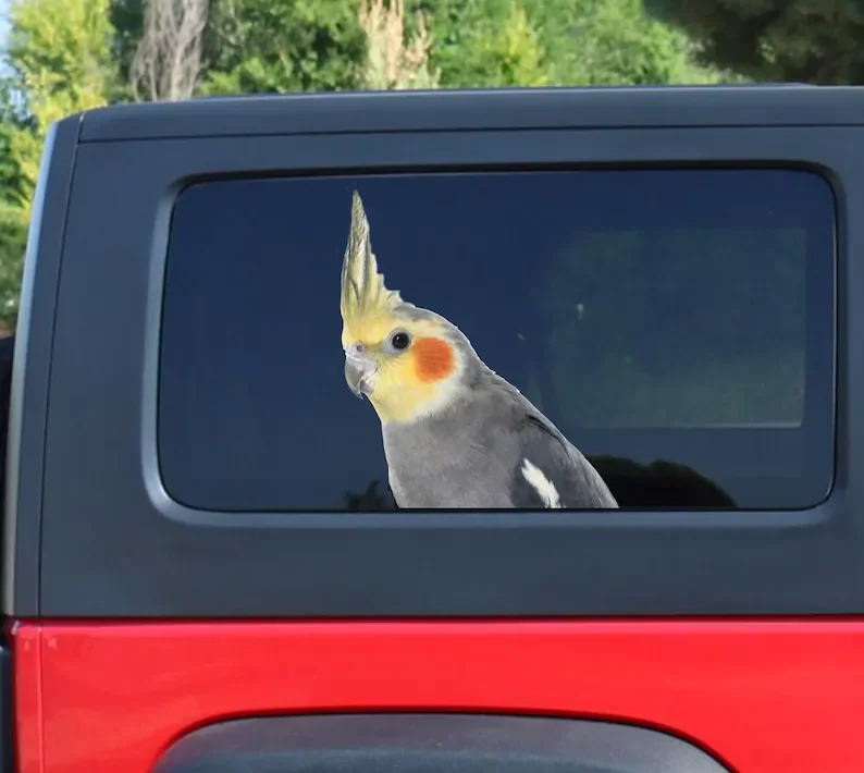 

Cockatiel sticker, car sticker, Cockatiel car decal, Cockatiel window decal