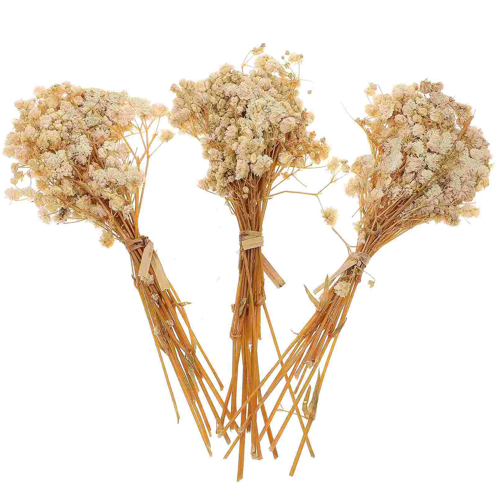 

3 Bunches Natural Dried Flowers Bouquet Dried Grass Gypsophila for Filler Floral Arrangement DIY Home Fall Party Decor ( )