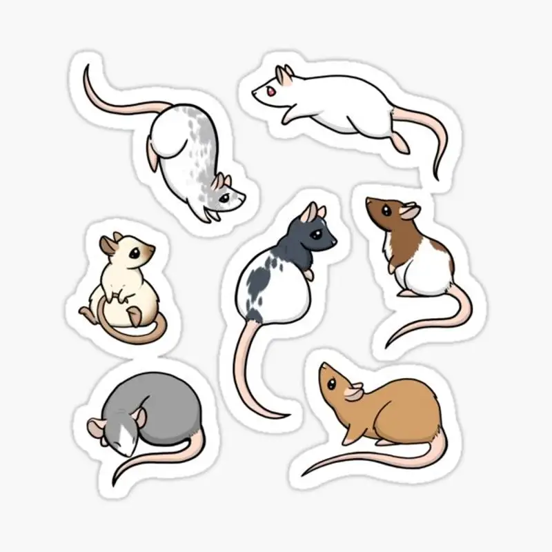 

Rats Sticker for Laptop Decor Bedroom Car Cute Cartoon Art Fashionable Public Suitcase