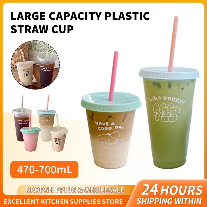 

Cute Straw Cup Coffee Juice Milk Tea Juice Cola Kawaii Plastic Cold Cups with Lid Straw Portable Reusable Drinking Water Bottle