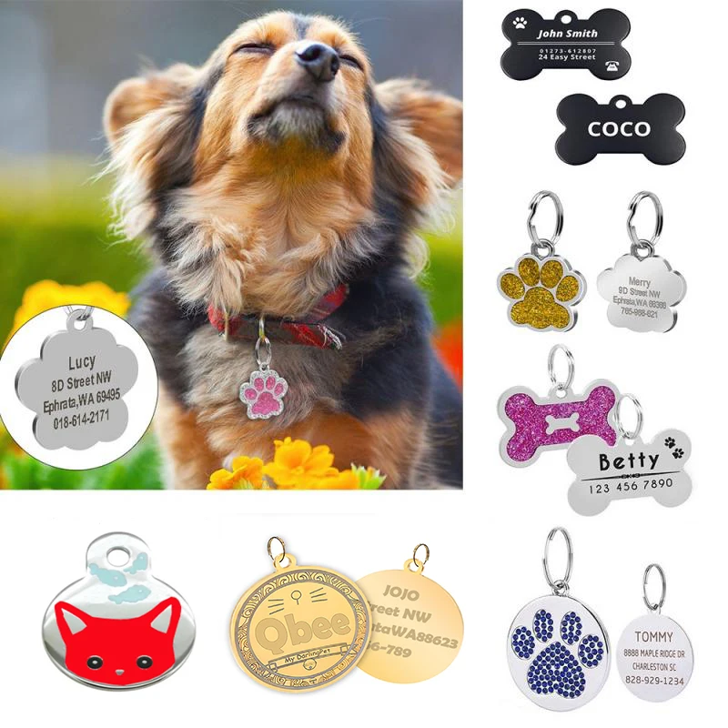 Engraved Pet Tags for Samll Large Cats Dogs Custom Pet Collars Personalized Pet Name Adress  Number Tag Collars Chihuahu  Puppy