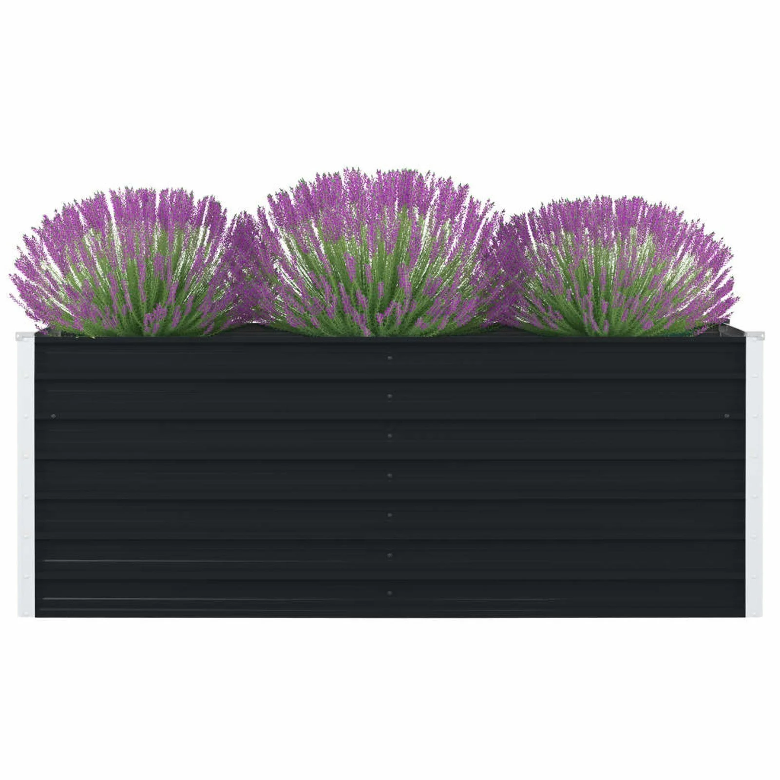 

Raised Garden Bed 63"x31.5"x17.7" Galvanized Steel Anthracite