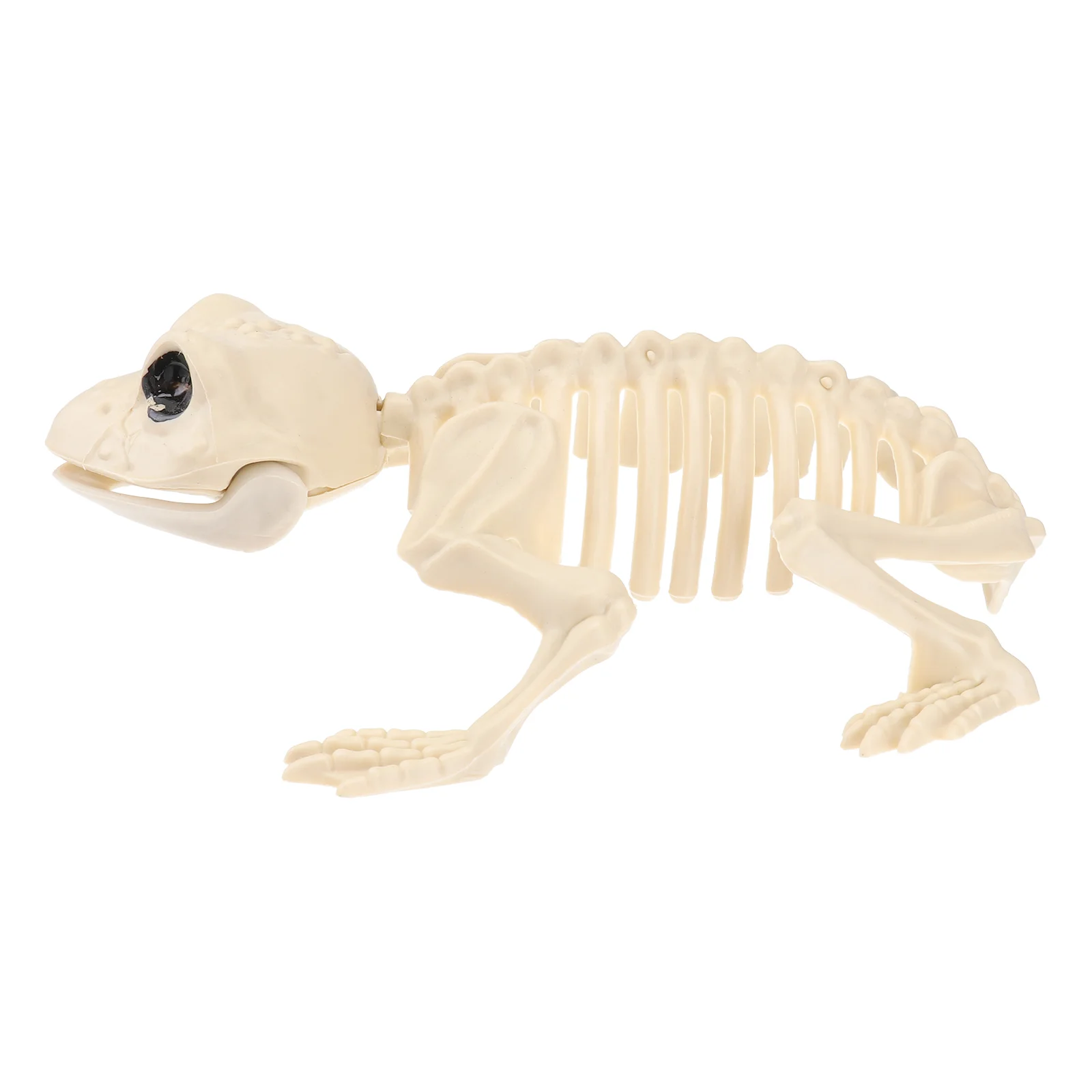 

Скелет, Хэллоуин, лягушка, животные, украшения, поддельный череп, Светящиеся Кости, спутанные черепа, кости, декоративные лягушки, реквизит д...