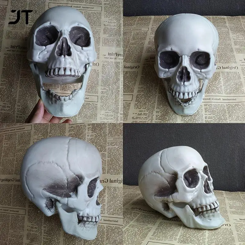 

Statues Sculptures Halloween Decorations Artificial Skull Head Model Plastic Skull Bone Scary Horror Skeleton Party Bar Ornament