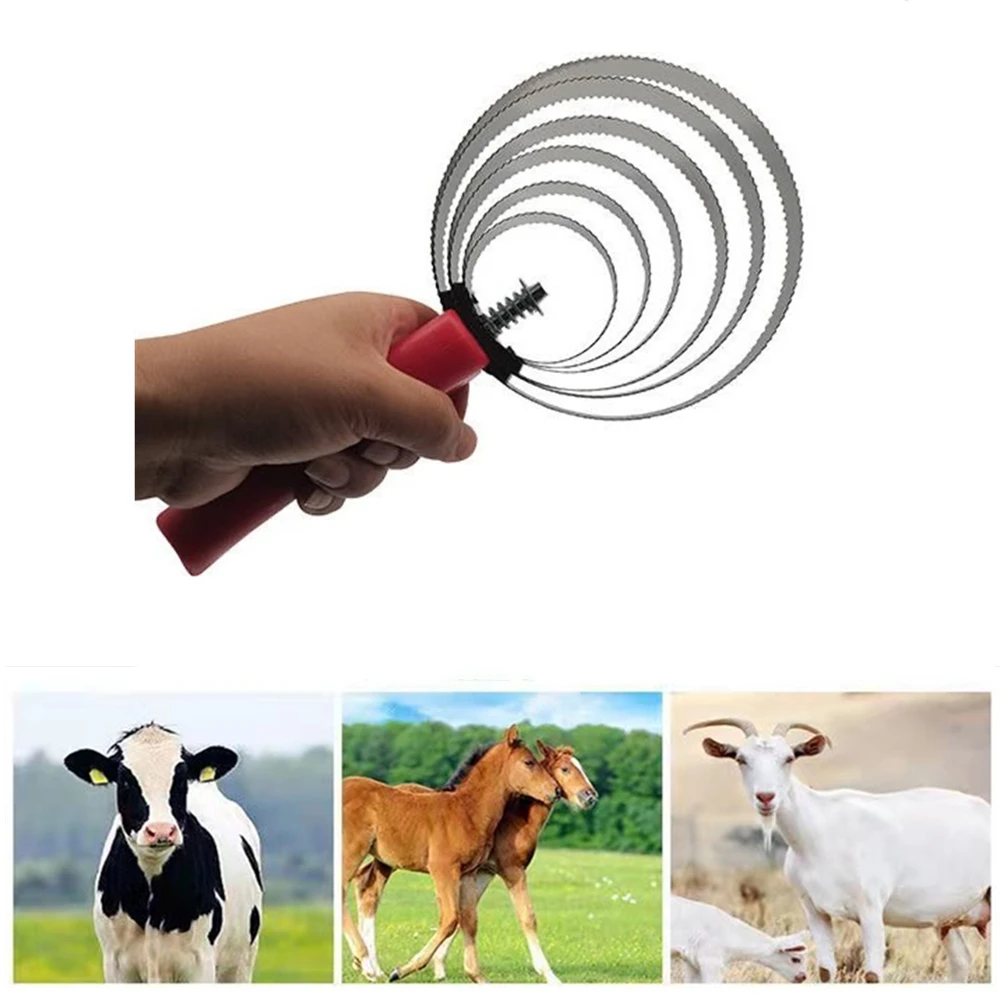 

Когтеточка для козьей шерсти, расческа для выпадения конского волоса, нержавеющая сталь, 4/5/6 кругов, щеточка для скота крупного рогатого ско...