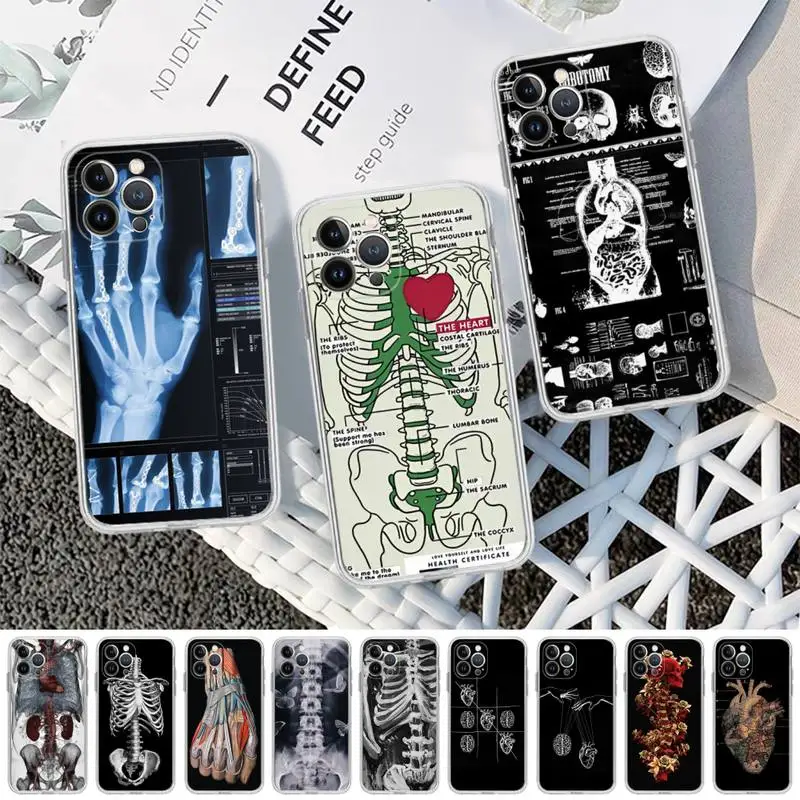 

Radiological human organs Skeleton skull Phone Case For iPhone 14 11 12 13 Mini Pro XS Max 6 7 8 Plus X XR SE 2020 Funda
